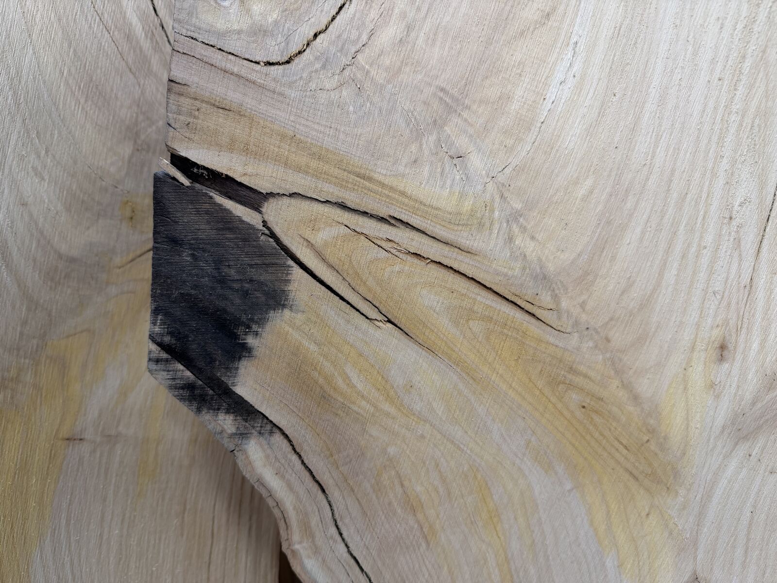 Slab and lumber available at John's Urban Timber, Whitmore Lake MI