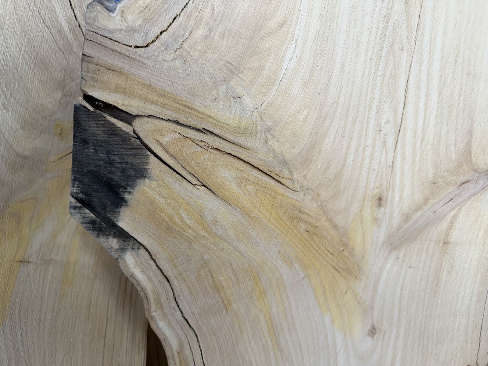 Slab and lumber available at John's Urban Timber, Whitmore Lake MI