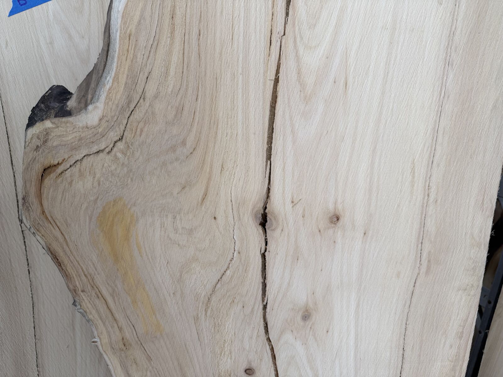 Slab and lumber available at John's Urban Timber, Whitmore Lake MI