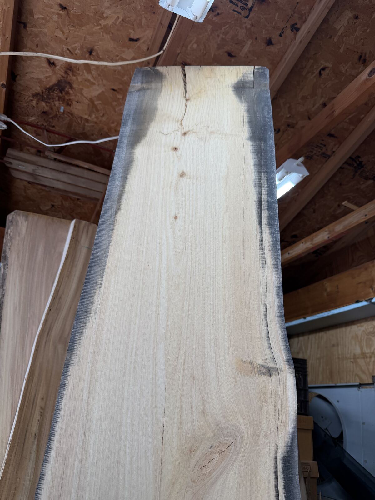 Slab and lumber available at John's Urban Timber, Whitmore Lake MI