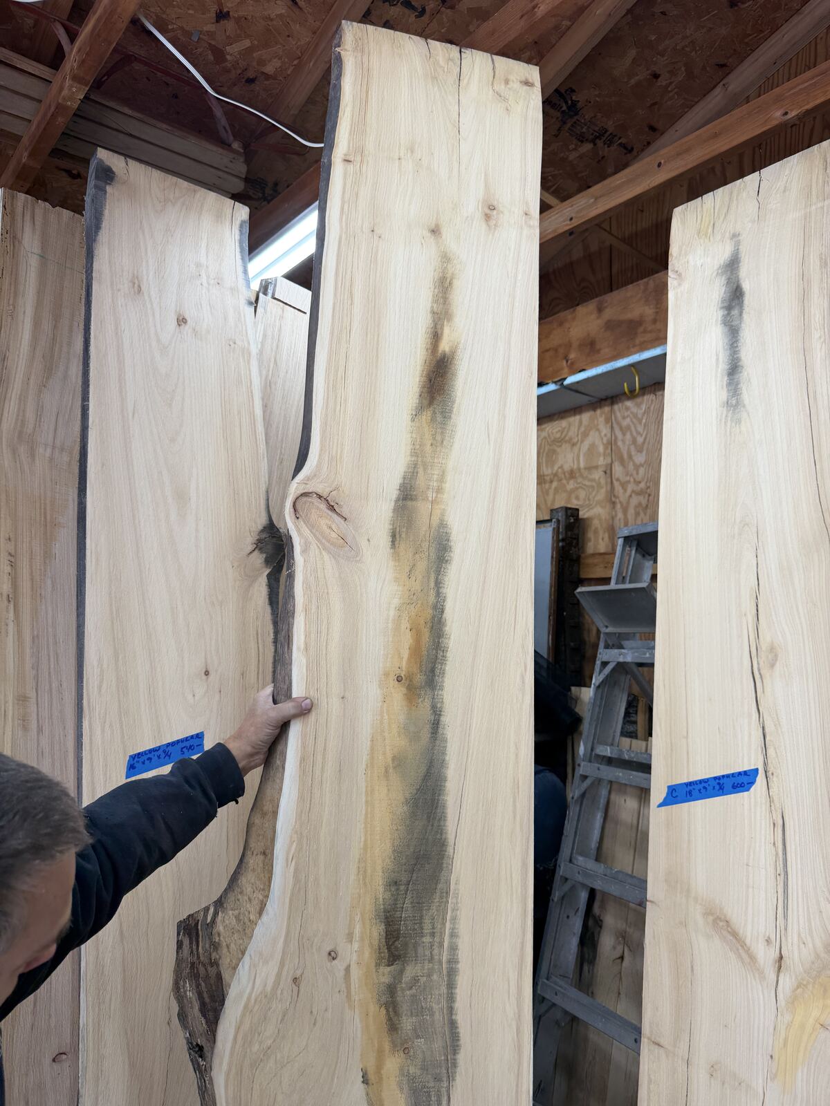Slab and lumber available at John's Urban Timber, Whitmore Lake MI