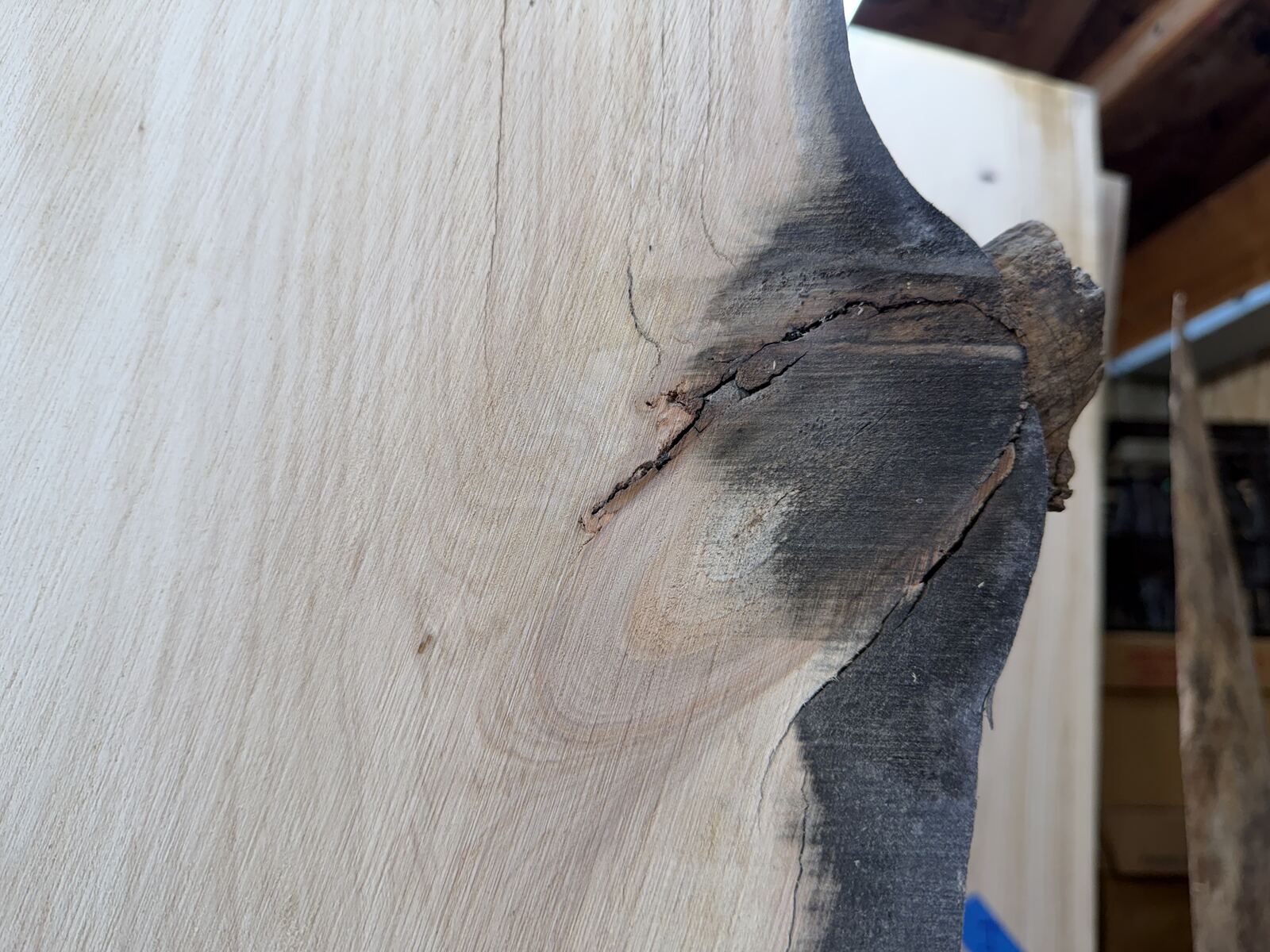 Slab and lumber available at John's Urban Timber, Whitmore Lake MI
