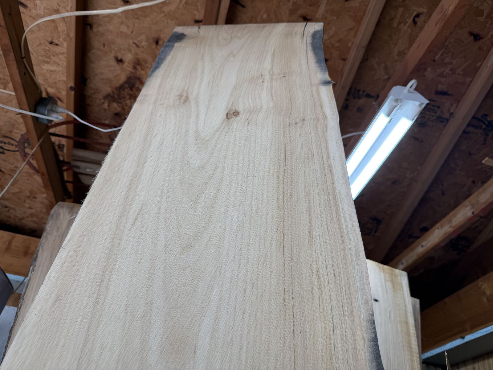 Slab and lumber available at John's Urban Timber, Whitmore Lake MI