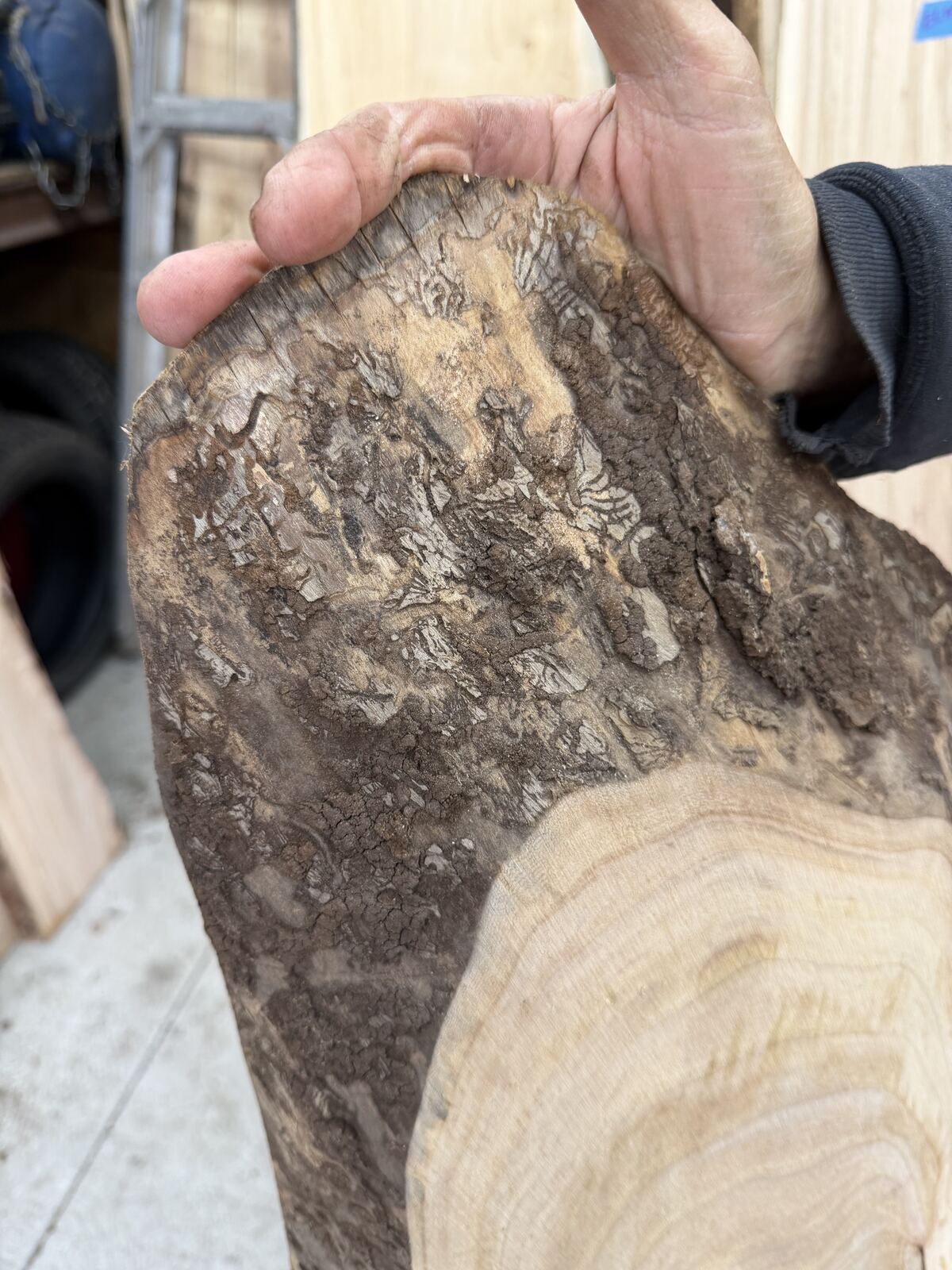 Slab and lumber available at John's Urban Timber, Whitmore Lake MI