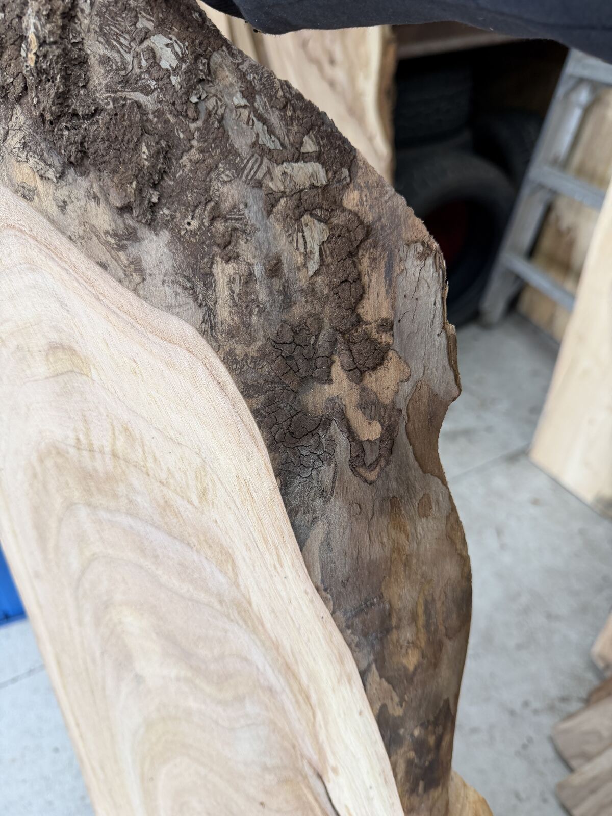 Slab and lumber available at John's Urban Timber, Whitmore Lake MI