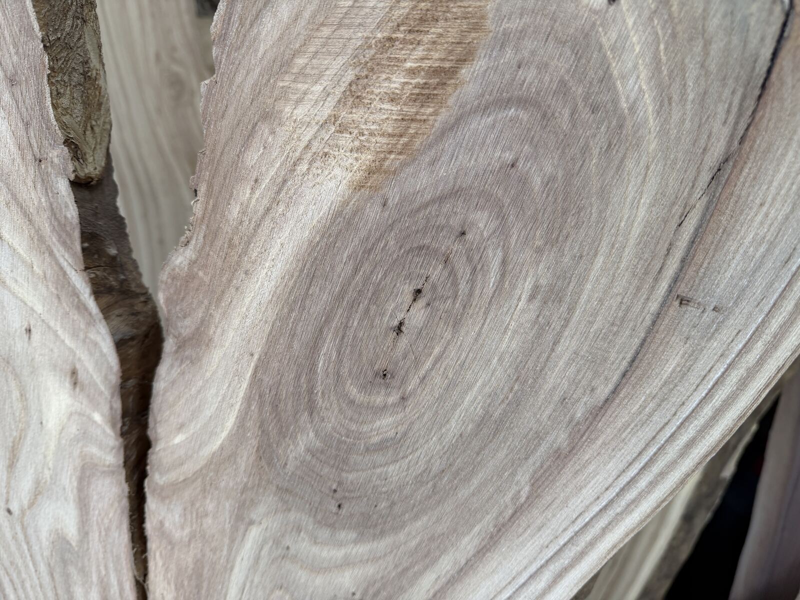 Slab and lumber available at John's Urban Timber, Whitmore Lake MI