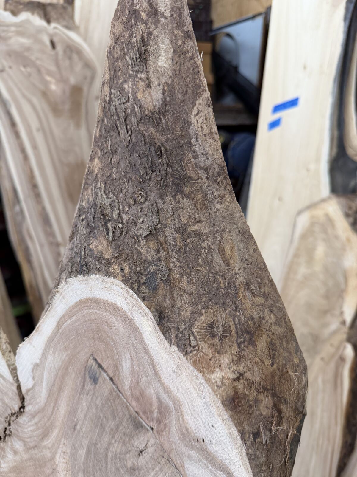Slab and lumber available at John's Urban Timber, Whitmore Lake MI