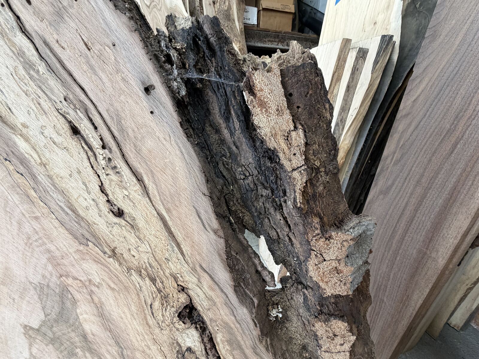 Slab and lumber available at John's Urban Timber, Whitmore Lake MI