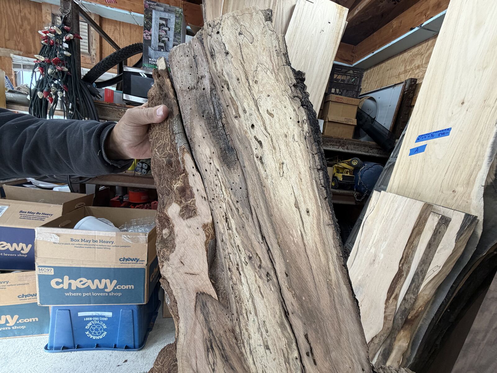 Slab and lumber available at John's Urban Timber, Whitmore Lake MI