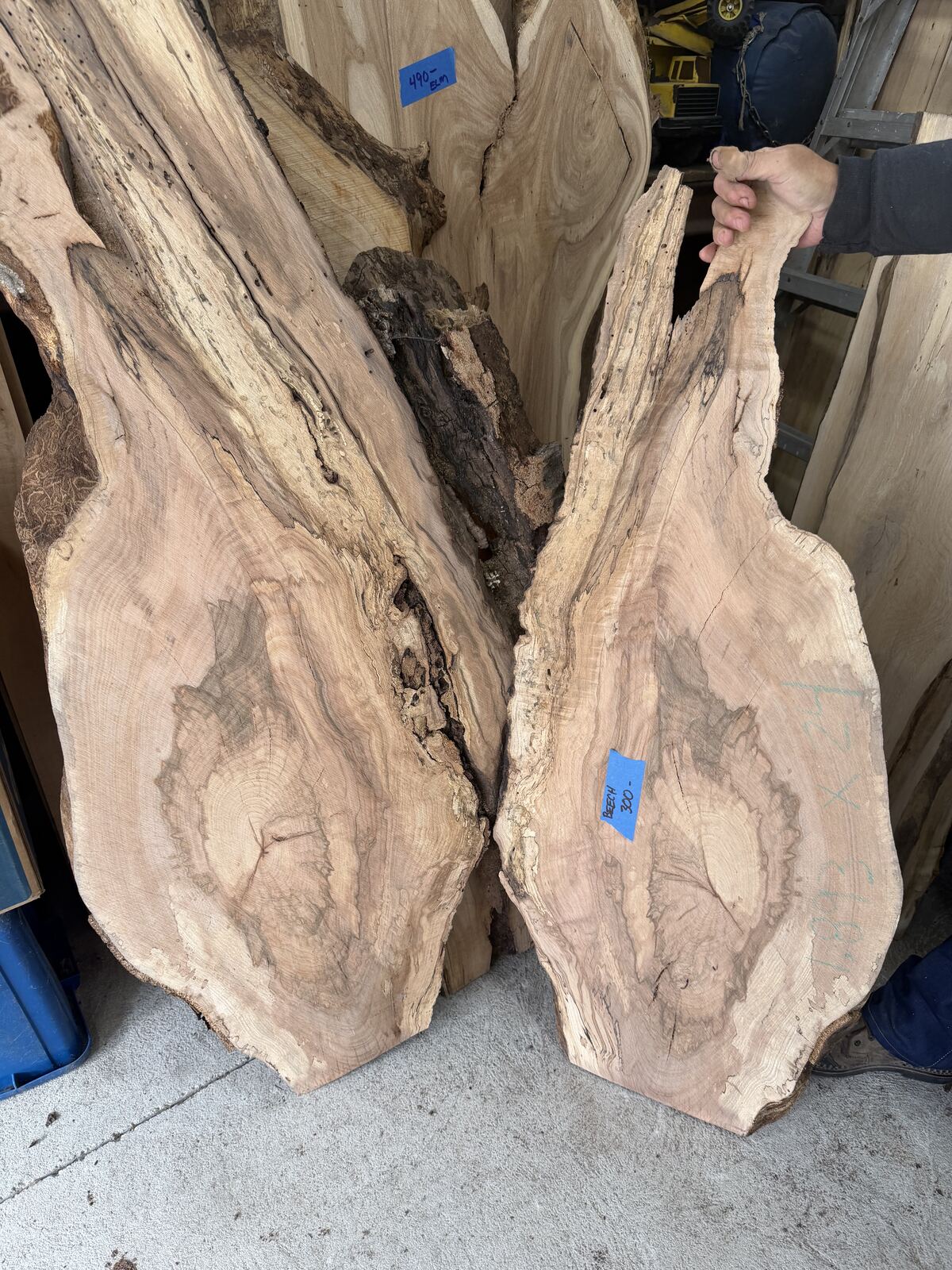 Slab and lumber available at John's Urban Timber, Whitmore Lake MI