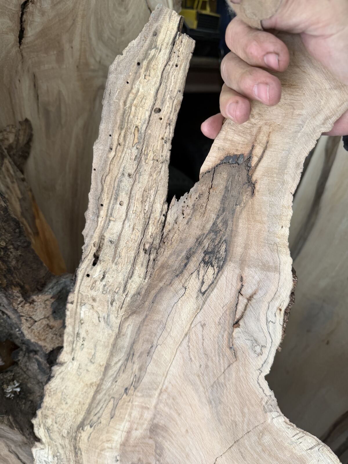 Slab and lumber available at John's Urban Timber, Whitmore Lake MI