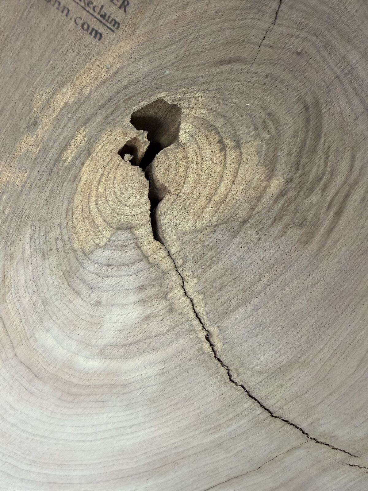 Slab and lumber available at John's Urban Timber, Whitmore Lake MI