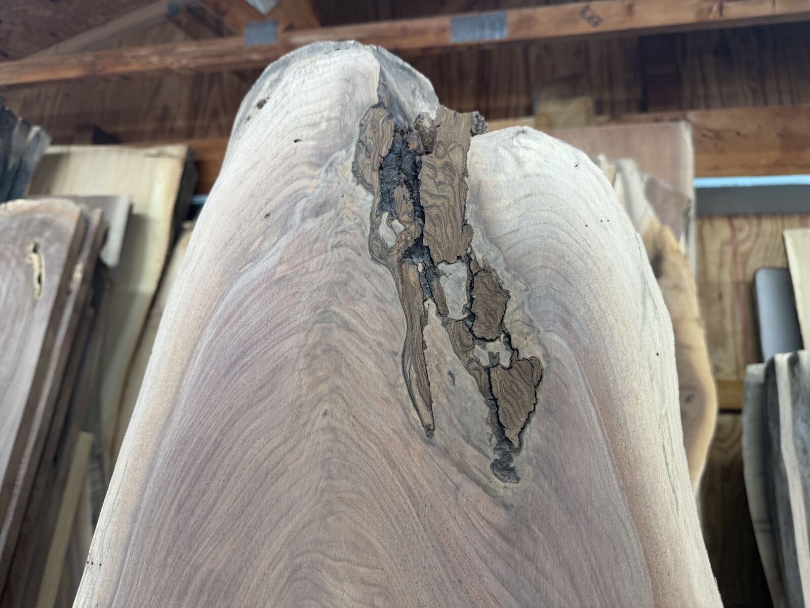 Slab and lumber available at John's Urban Timber, Whitmore Lake MI