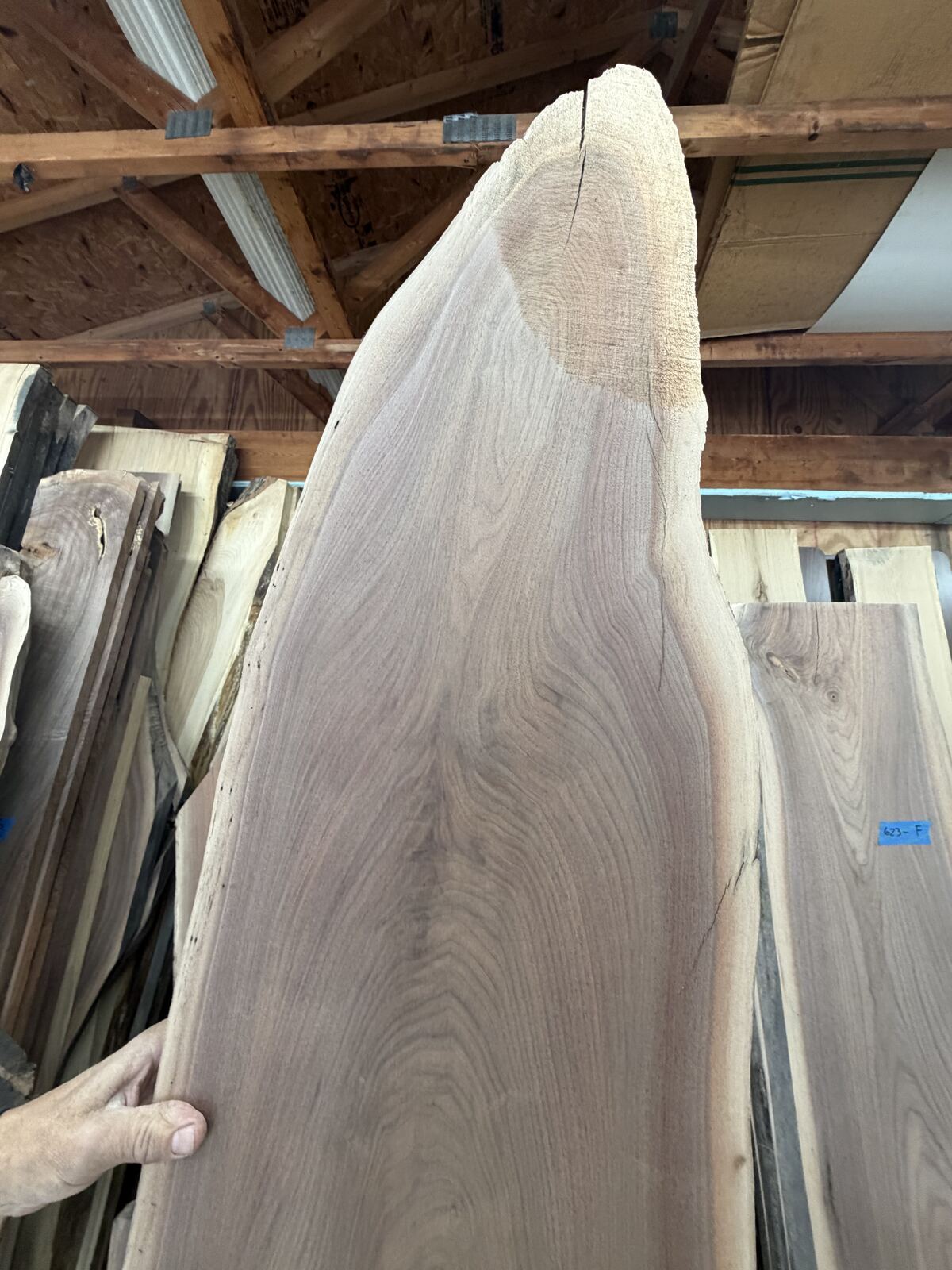 Slab and lumber available at John's Urban Timber, Whitmore Lake MI