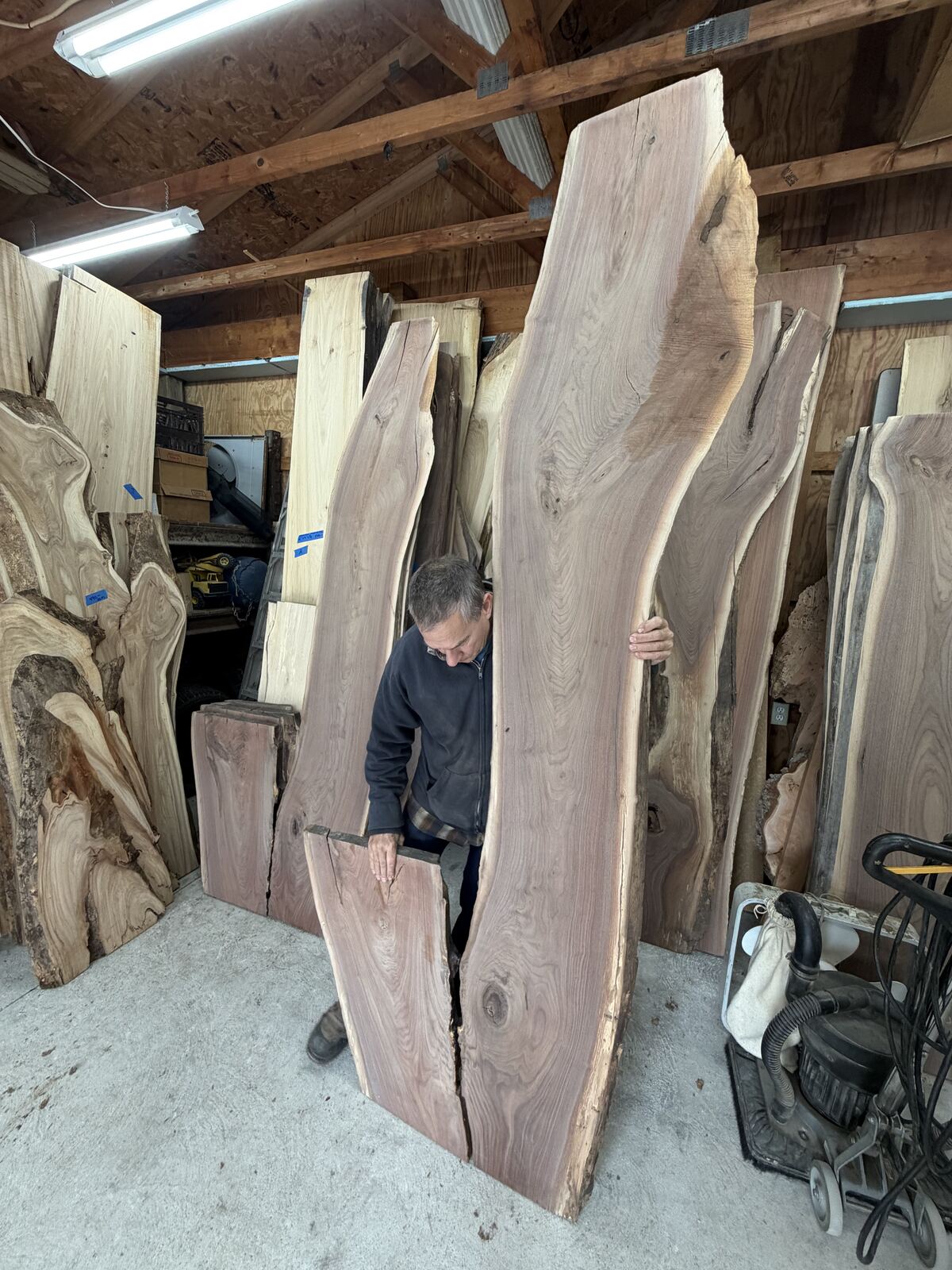 Slab and lumber available at John's Urban Timber, Whitmore Lake MI