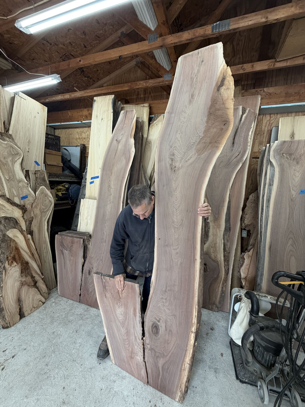 Slab and lumber available at John's Urban Timber, Whitmore Lake MI