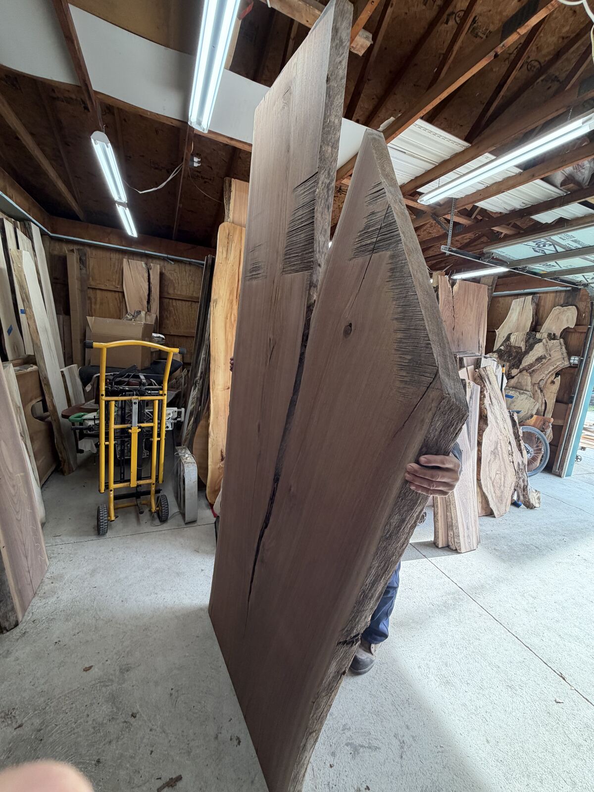 Slab and lumber available at John's Urban Timber, Whitmore Lake MI