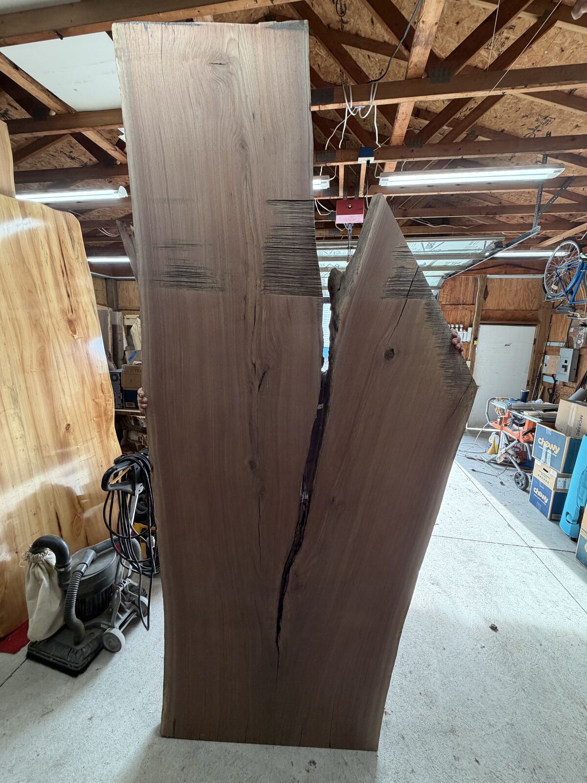 Slab and lumber available at John's Urban Timber, Whitmore Lake MI