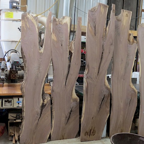 6 pieces, consecutive cuts from same log. Walnut from Meadowbrook Country Club.  9/6/21